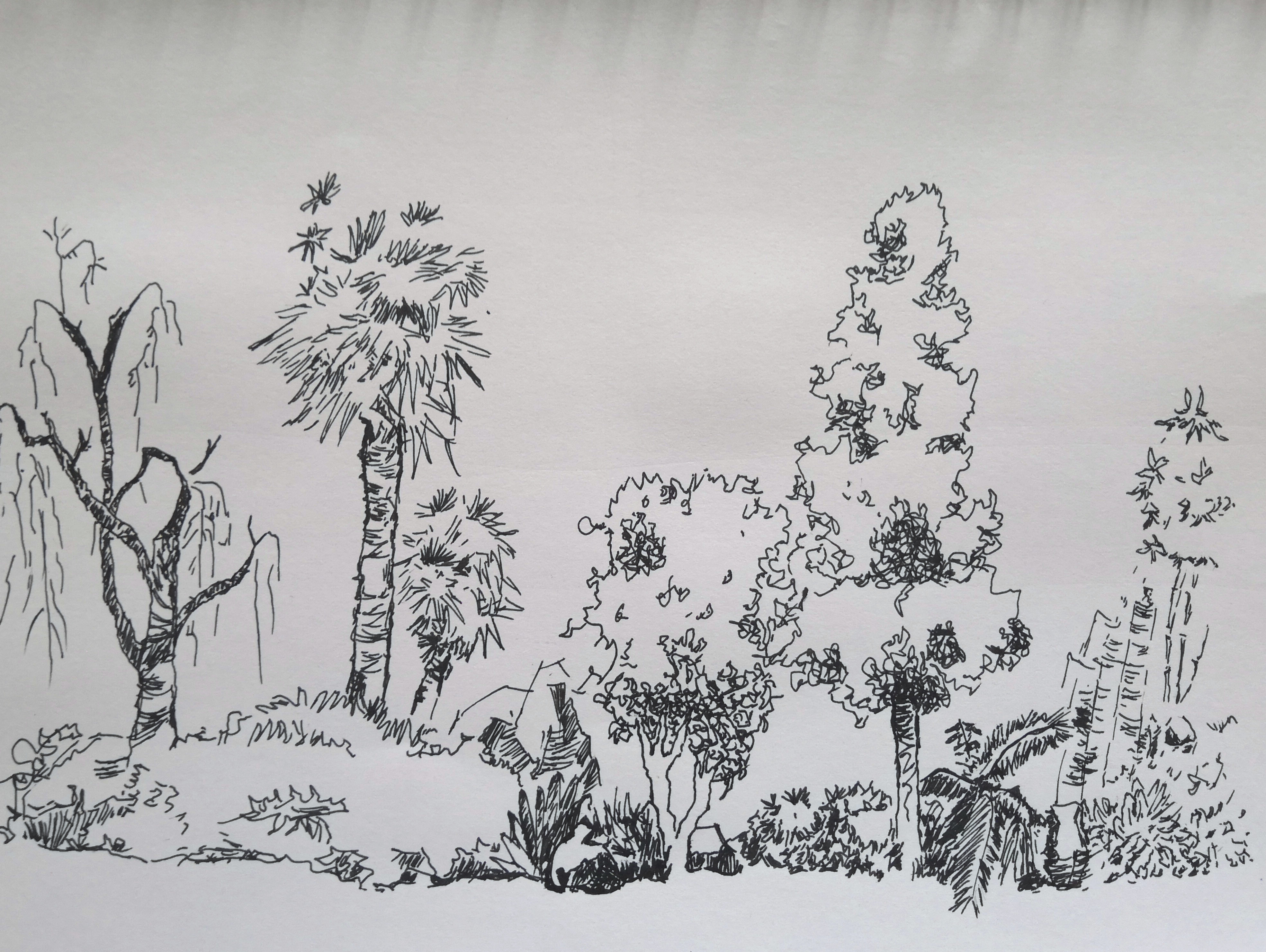 【学生作品】钢笔画,带上钢笔去写生